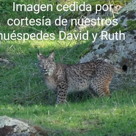 La Isabelita Andújar